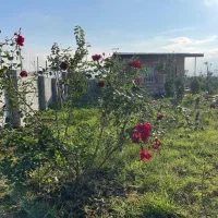 زیر×قیمت باغ مرکبات۵۰۰ متربابنا۵۰ مترقابل افزایش|فروش زمین و ملک کلنگی|محمودآباد, |دیوار