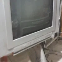 تلوزییون