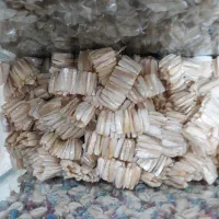 کشتی دست ساز|بدلیجات|تهران, زیبادشت|دیوار