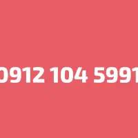 0912.104.5991