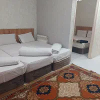 تور کاروان مشهد مقدس|تور و چارتر|شیراز, اصلاح‌نژاد|دیوار