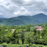 ۱۷۰۰مترزمین جنگلی/لوکیشن تکرارنشدنی