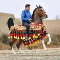 جل اسب دستباف