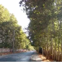 اجاره خانه و ویلا