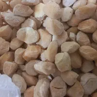 کشک خشک(قوروت)