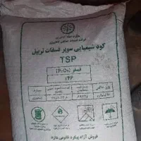 فروش انواع کود و بذر|خدمات باغبانی و درختکاری|جیرفت, |دیوار