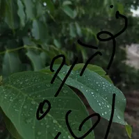 وانت