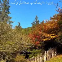 لطفا راهنمایی