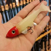 ماهی ژله ای|ماهیگیری|مشهد, آزادشهر|دیوار