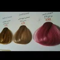 کاتالوگ رنگ 4عدد