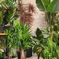 استخدام نیروی خدماتی آقا