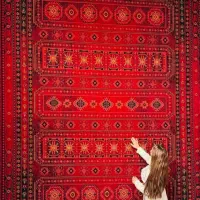 فرش دیاکو فرش 1500شانه تراکم 4500 ارزان|فرش|شیراز, شهرک سراج|دیوار