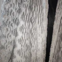 پالتو و کاپشن نو دخترانه در حد نو سایز 36و38|لباس|قرچک, میرزائی جنوبی|دیوار