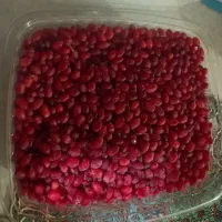 زرشک تازه بسته بندی شده کیلو 250