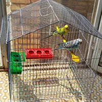 2 مرغ عشق