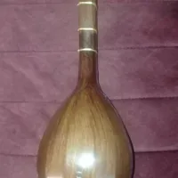 سه تار سالم