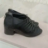 کفش زنانه|کیف، کفش، کمربند|شاهرود, |دیوار