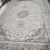 فرش 12 متری|فرش|قزوین, |دیوار