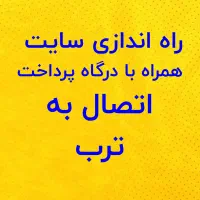 راه اندازی سایت با درگاه پرداخت و اتصال به ترب