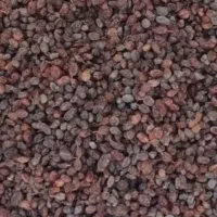 کشمش پلویی آفتاب خشک شده تبریز|خوردنی و آشامیدنی|ساری, |دیوار