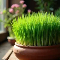 کمک به انجام تکالیف + بازی + آموزش