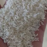 برنجه سونا سوری