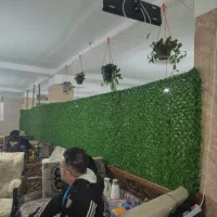 چمن مصنوعی فنس|گل مصنوعی|کرج, خرمدشت|دیوار