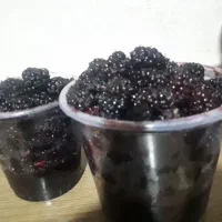 فروش ۷ کیلو شاه توت کیلویی ۳۰۰