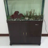 آکواریم شیشه خم