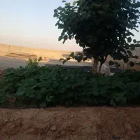 گاراژ 3300متر|فروش دفتر صنعتی، کشاورزی، تجاری|اهواز, اسماعیلیه|دیوار