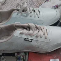 کتانی سفیددرحدنو تابحال پوشیده نشده ونو-نواست