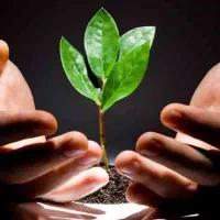 ترک اعتیاد با روش گیاهی (طب رویال)