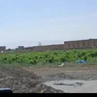 جویای کار هستم