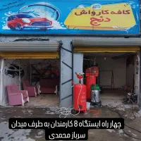 نیروی کارگر کارواش