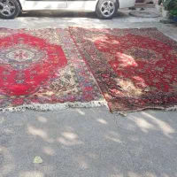 تعدادی لوازم منزل ب فروش می‌رسد|فرش|رشت, پیرکلاچای|دیوار