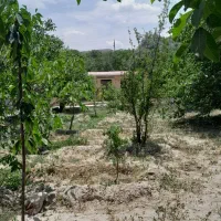 باغ ویلایی به متراژ ۱۰۰۰|فروش خانه و ویلا|خسروشاه, |دیوار