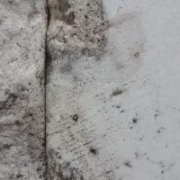 مدارک گم شده