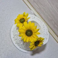 کیک ، کافی ،دسر ،نان خانگی