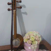 کمانچه پشت باز  نو