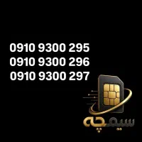 09109300295