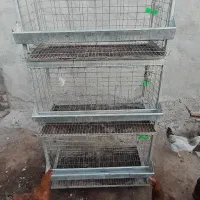 قفس شهرستان سرخس میباشد