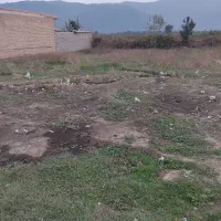 زمین فروشی دلند