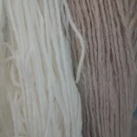 رنگ قالی پشم