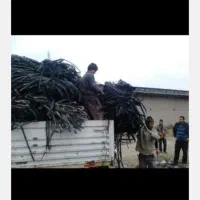 نوار تیپ شما را سر زمین خریداریم