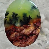 آخرت شجر(کاملا طبیعی) همراه راف