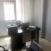 خانم با تحصیلات زمین شناسی
