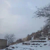 زمین شمشک دربندسر|فروش زمین و ملک کلنگی|تهران, شهرک امیرالمومنین|دیوار