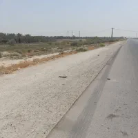 فروش ۲۵۰۰متر زمین تک برگ، بَرِ کمربندی بوشهر-شیراز|فروش زمین و ملک کلنگی|برازجان, |دیوار