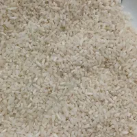 لاشه قیمت مناسب