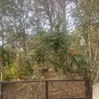 دو طبقه خانه ویلایی ، فروش ، رهن ، اجاره ، کلاک